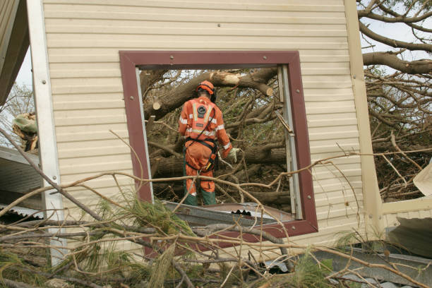 Best Leaf Removal  in Bellerose Terrace, NY